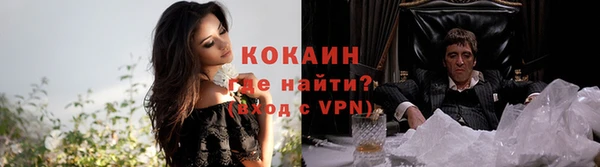 индика Анива