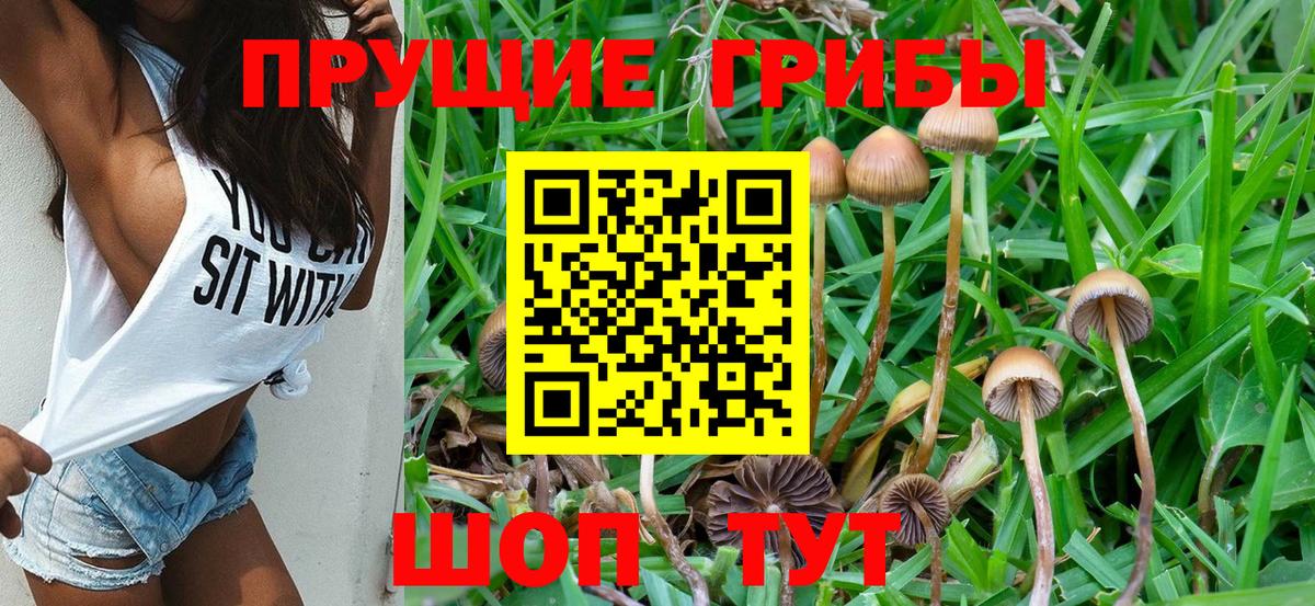 Псилоцибиновые грибы Psilocybe  Галлюциногенные грибы мухоморы  Новосибирск  Вход с VPN 