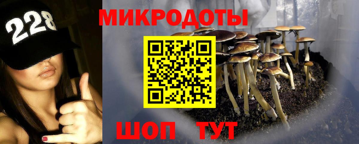Галлюциногенные грибы мицелий Новосибирск